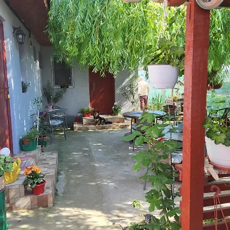 Casa/camere Maria كوربو
