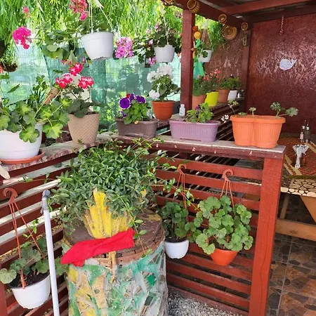 Casa/camere Maria *
